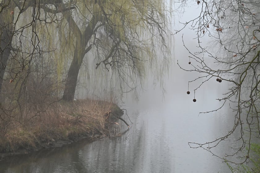 Wrocław osnuty poranną mgłą.