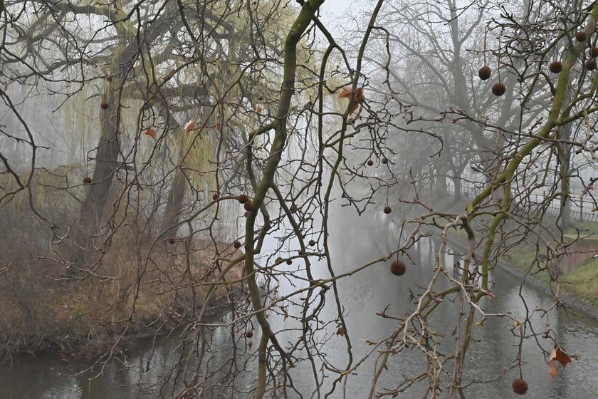 Wrocław osnuty poranną mgłą.