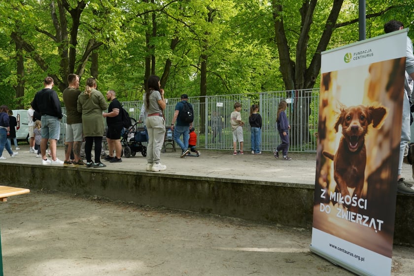 Psi Piknik Adopcyjny  Fundacji Centaurus