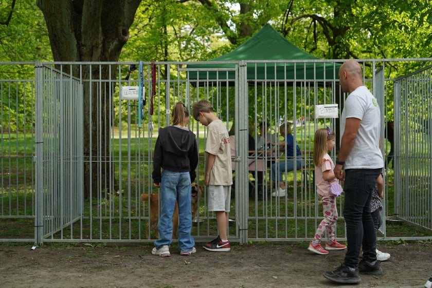 Psi Piknik Adopcyjny  Fundacji Centaurus