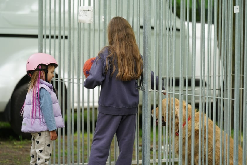 Piknik Adopcyjny Fundacji Centaurus w Parku Południowym