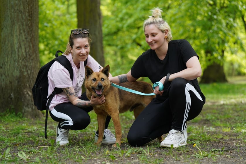 Piknik Adopcyjny Fundacji Centaurus w Parku Południowym