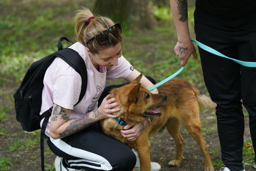 Piknik Adopcyjny Fundacji Centaurus w Parku Południowym