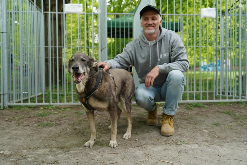 Piknik Adopcyjny Fundacji Centaurus w Parku Południowym