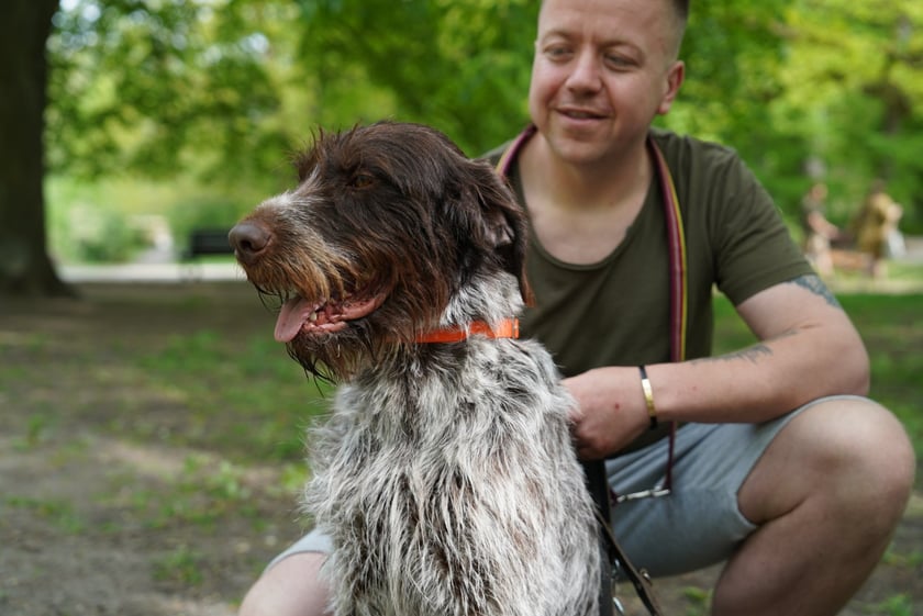 Piknik Adopcyjny Fundacji Centaurus w Parku Południowym