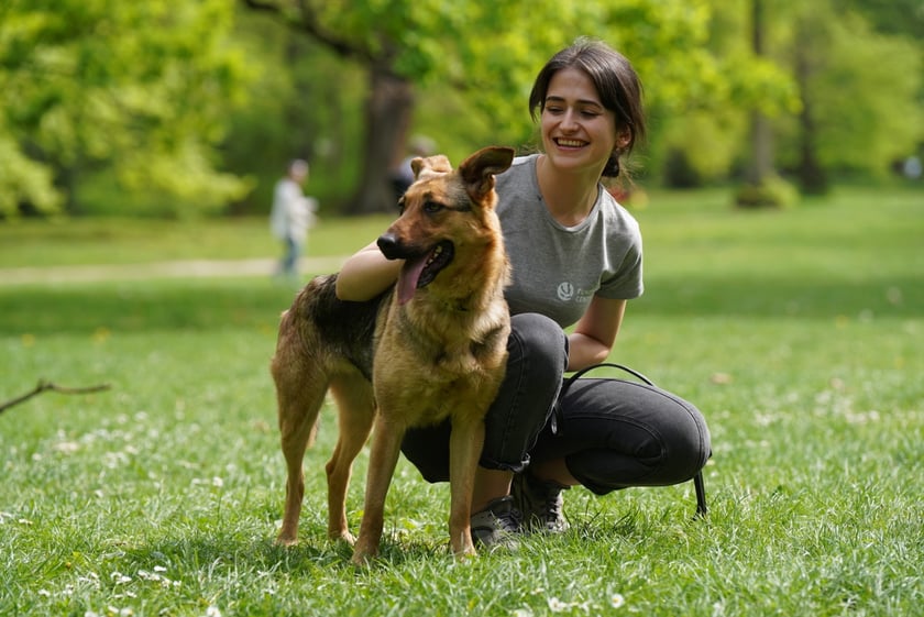Piknik Adopcyjny Fundacji Centaurus w Parku Południowym