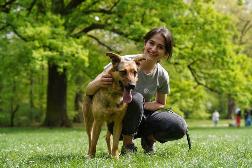 Piknik Adopcyjny Fundacji Centaurus w Parku Południowym