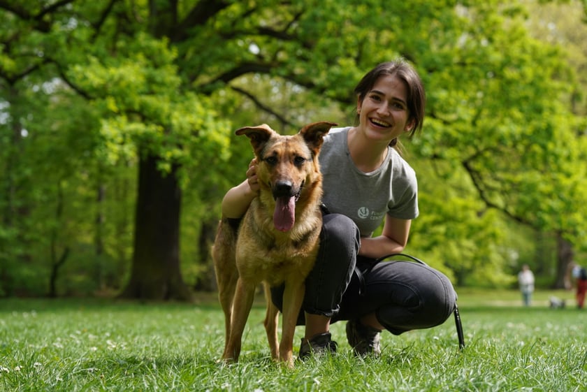 Piknik Adopcyjny Fundacji Centaurus w Parku Południowym