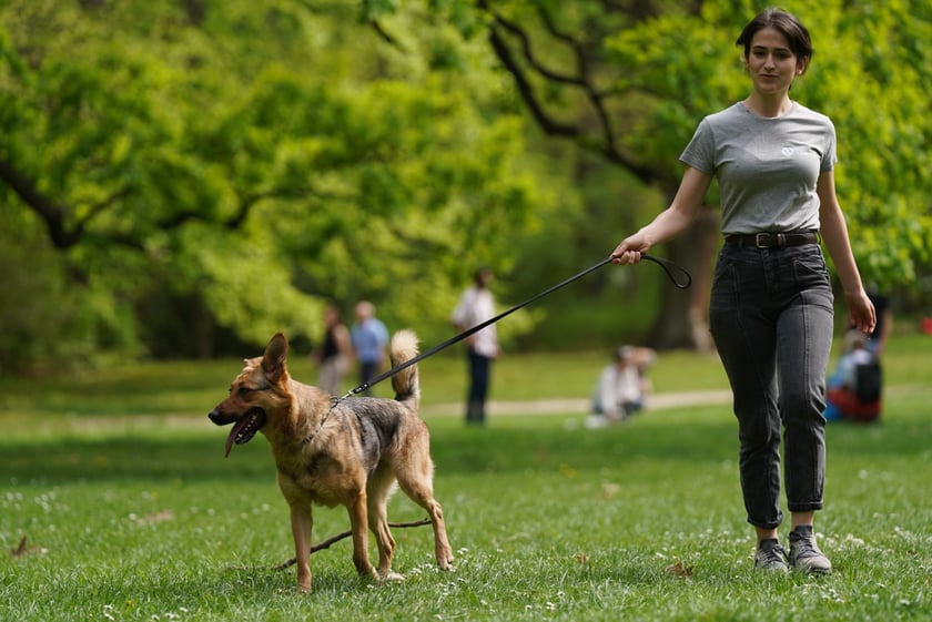 Piknik Adopcyjny Fundacji Centaurus w Parku Południowym