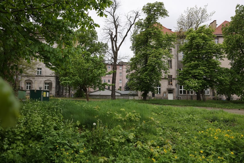 Budynki poszpitalne przy Traugutta w 2024 roku