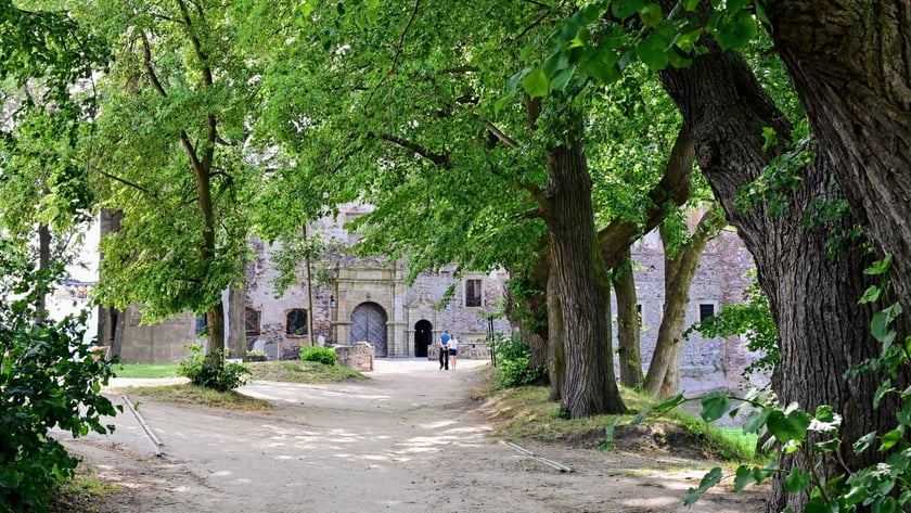 Zamek Świny. Klimatyczny zabytek nieopodal Bolkowa, ponad godzinę jazdy samochodem z Wrocławia