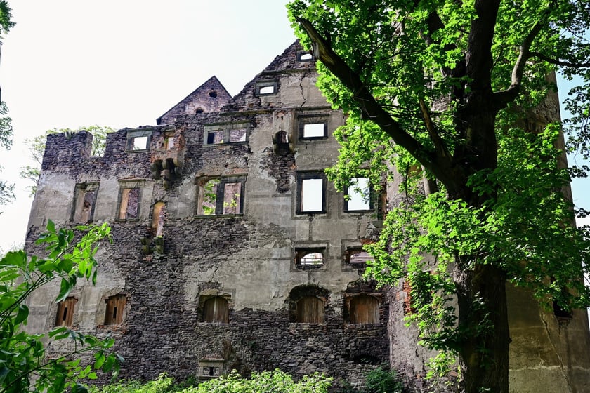 Zamek Świny. Klimatyczny zabytek nieopodal Bolkowa, ponad godzinę jazdy samochodem z Wrocławia