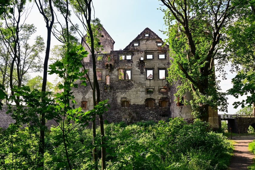Zamek Świny. Klimatyczny zabytek nieopodal Bolkowa, ponad godzinę jazdy samochodem z Wrocławia