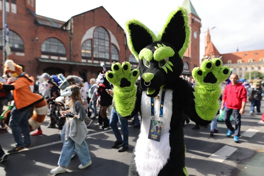 Wrocławski Furwalk 2024
