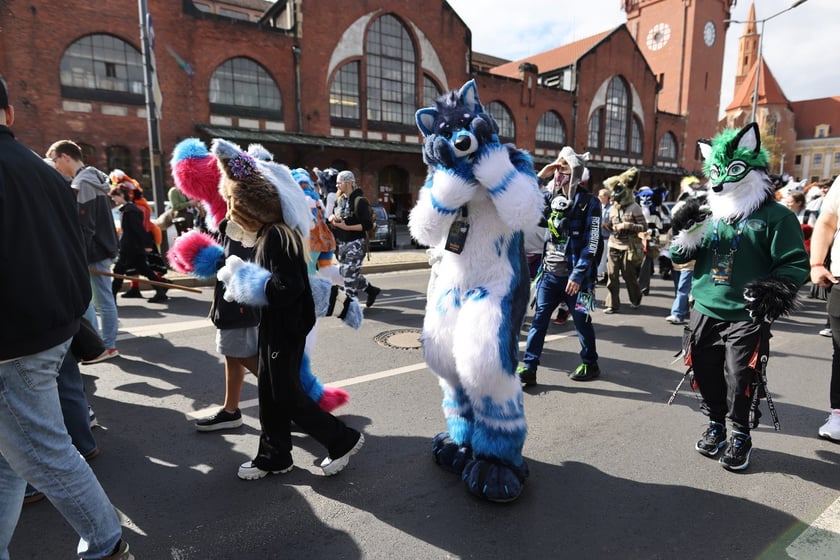 Wrocławski Furwalk 2024