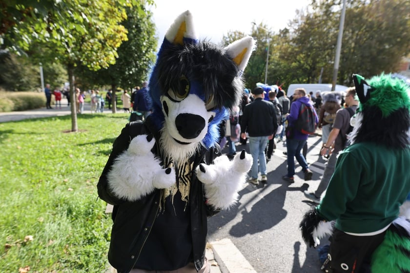 Wrocławski Furwalk 2024