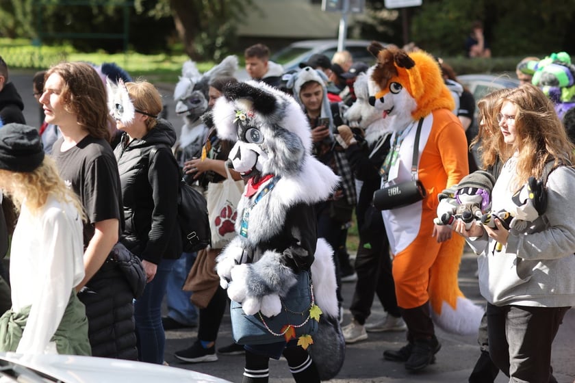 Wrocławski Furwalk 2024