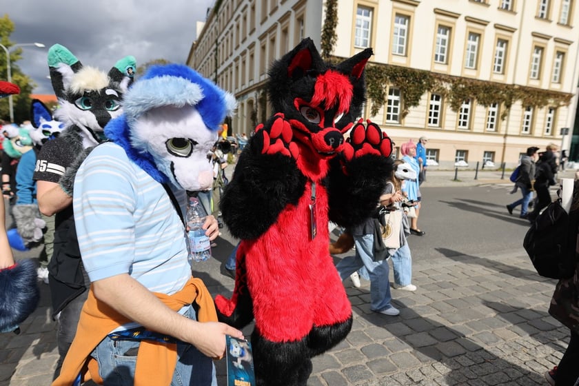 Wrocławski Furwalk 2024
