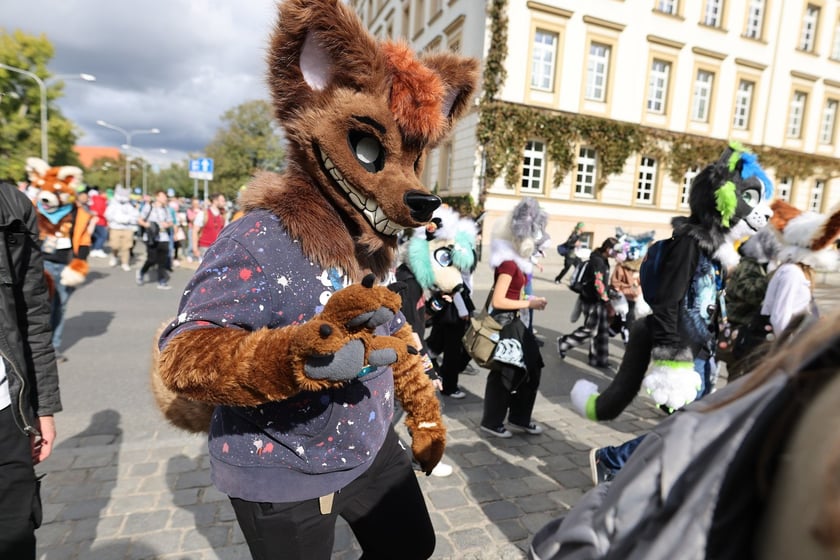 Wrocławski Furwalk 2024