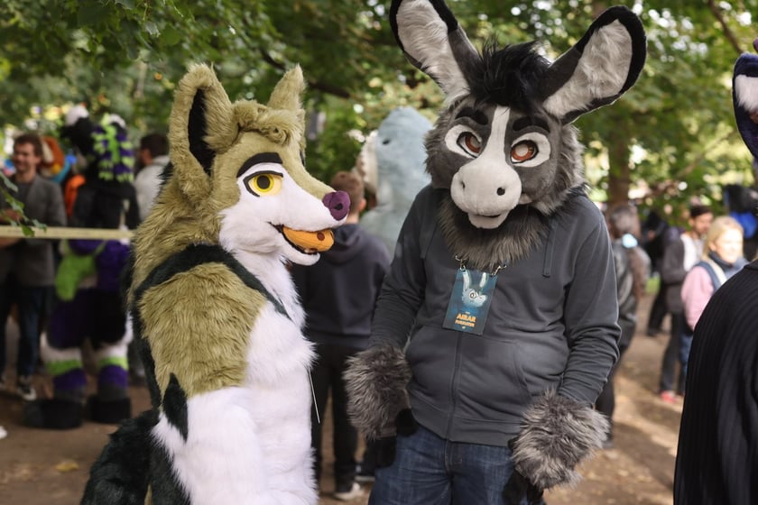 Wrocławski Furwalk 2024