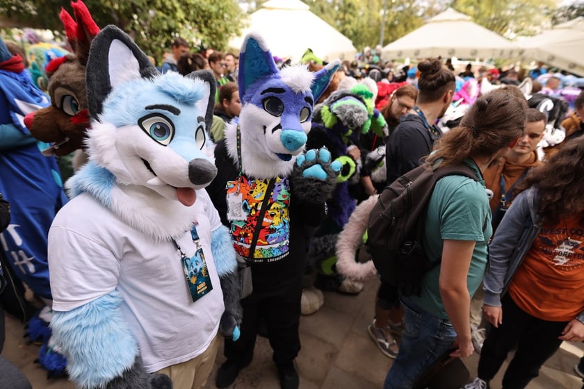 Wrocławski Furwalk 2024