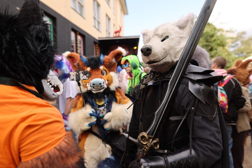 Wrocławski Furwalk 2024