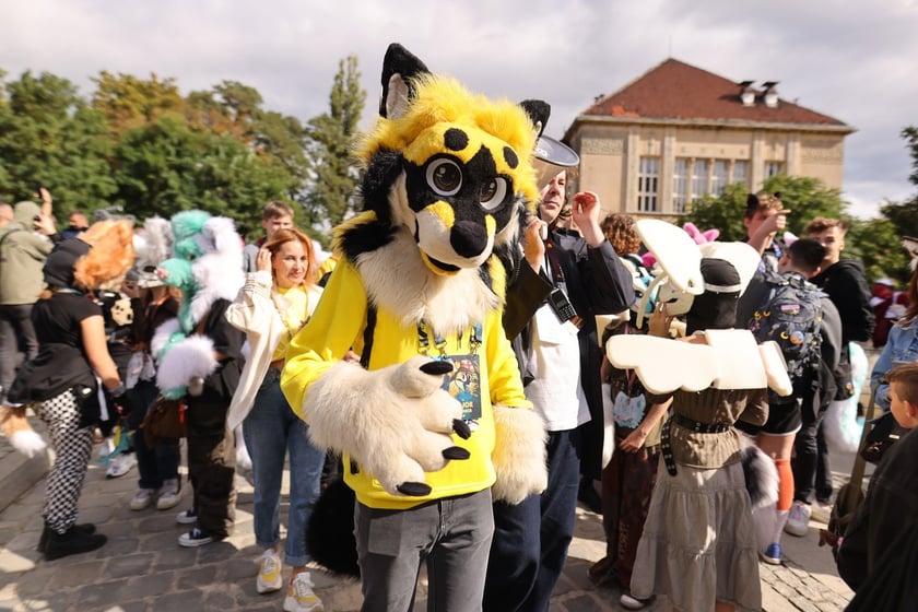 Wrocławski Furwalk 2024