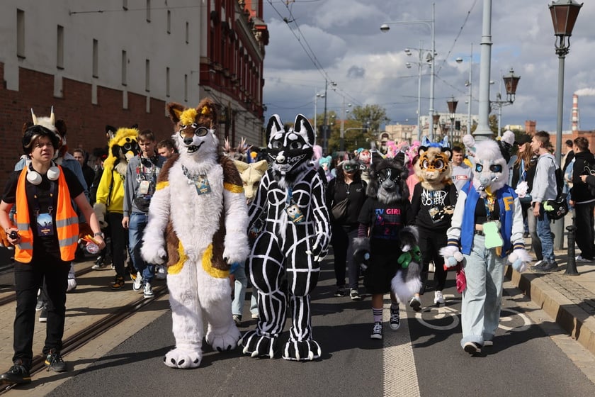 Wrocławski Furwalk 2024