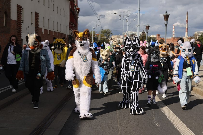 Wrocławski Furwalk 2024
