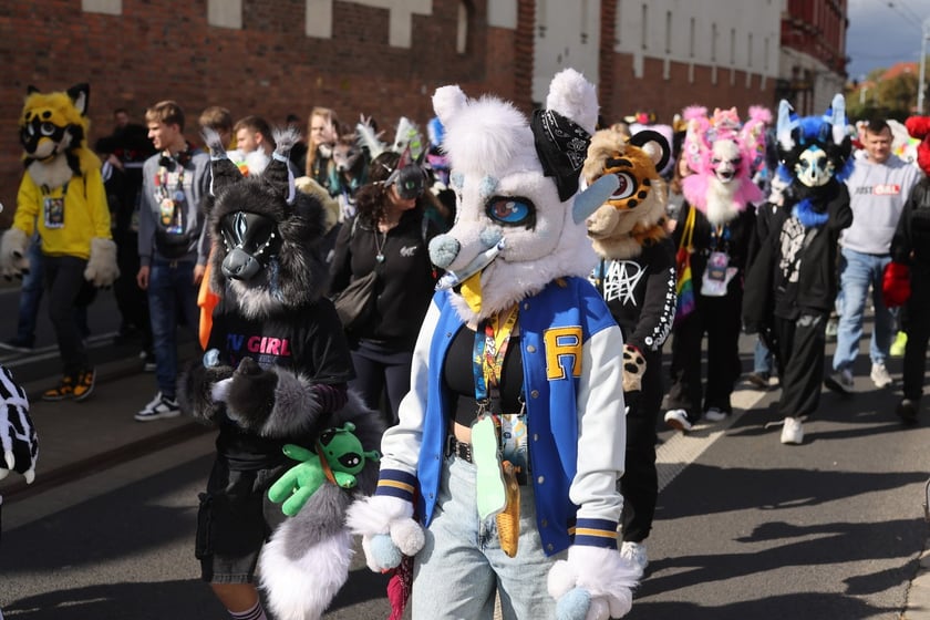 Wrocławski Furwalk 2024