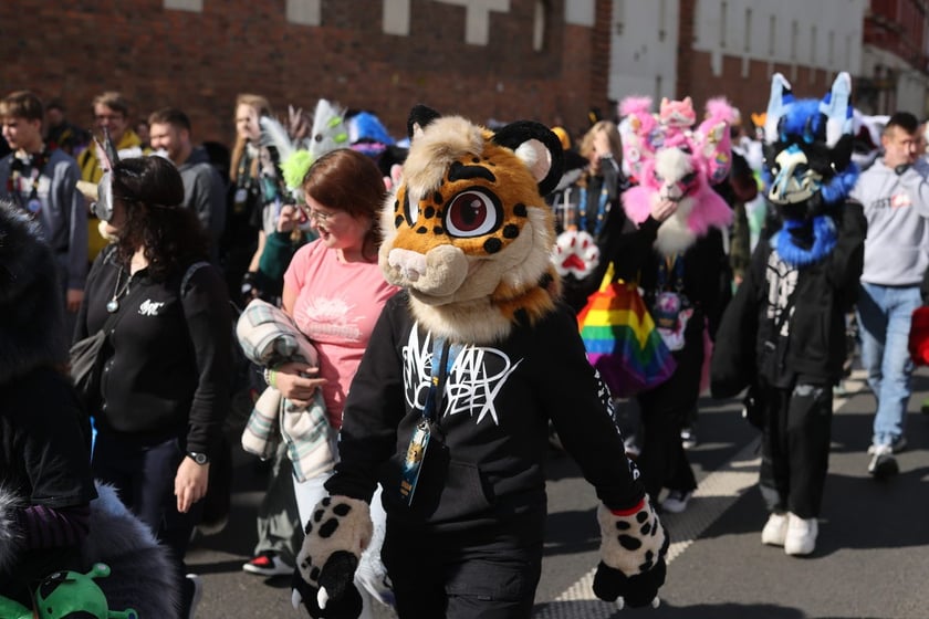 Wrocławski Furwalk 2024