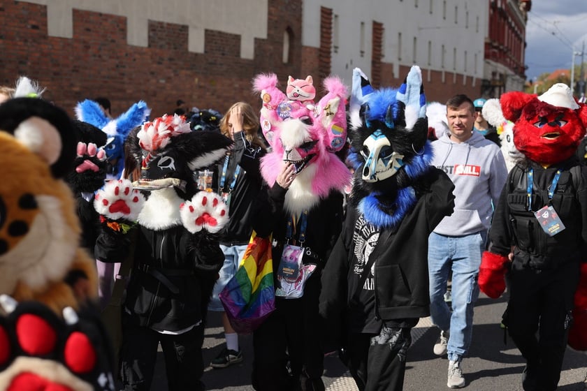 Wrocławski Furwalk 2024