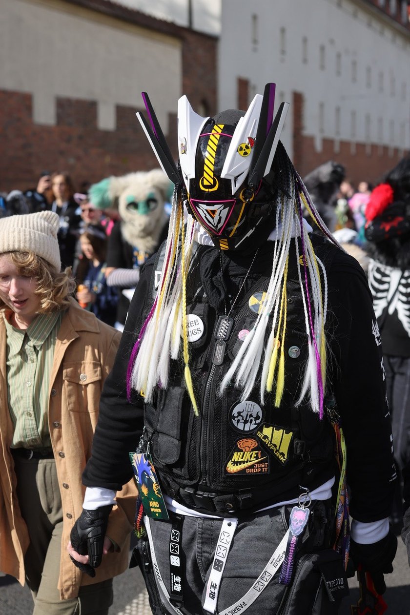 Wrocławski Furwalk 2024