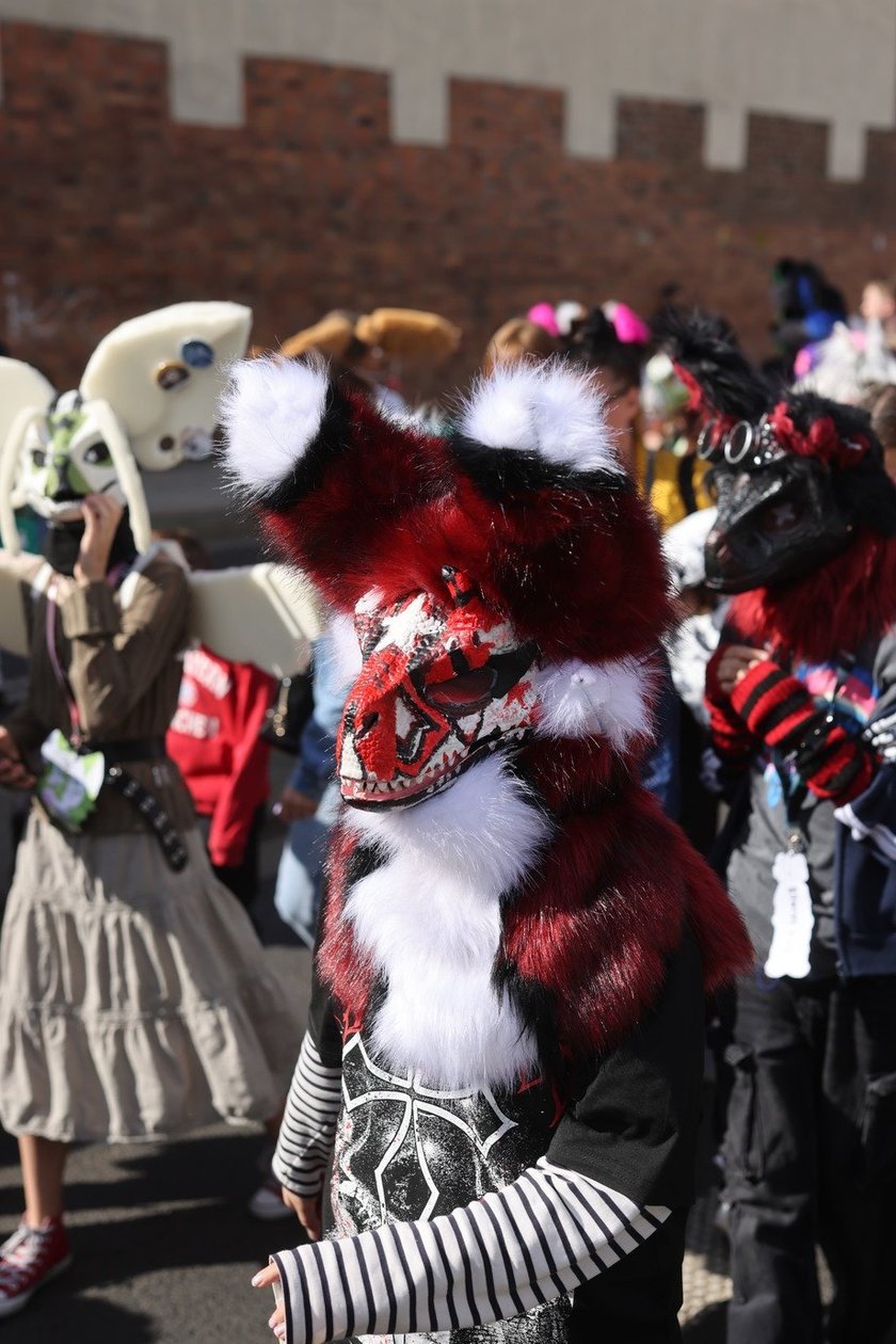 Wrocławski Furwalk 2024