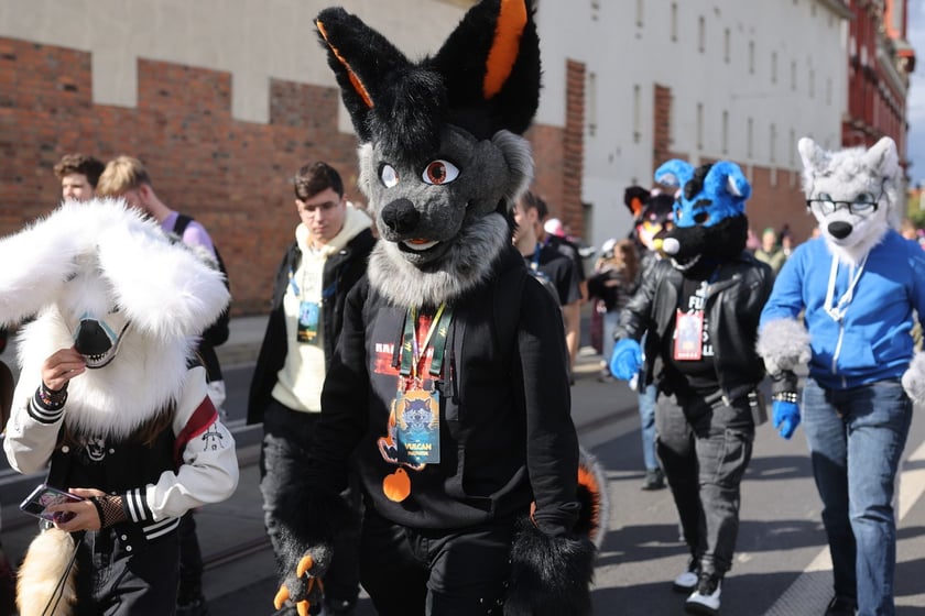 Wrocławski Furwalk 2024