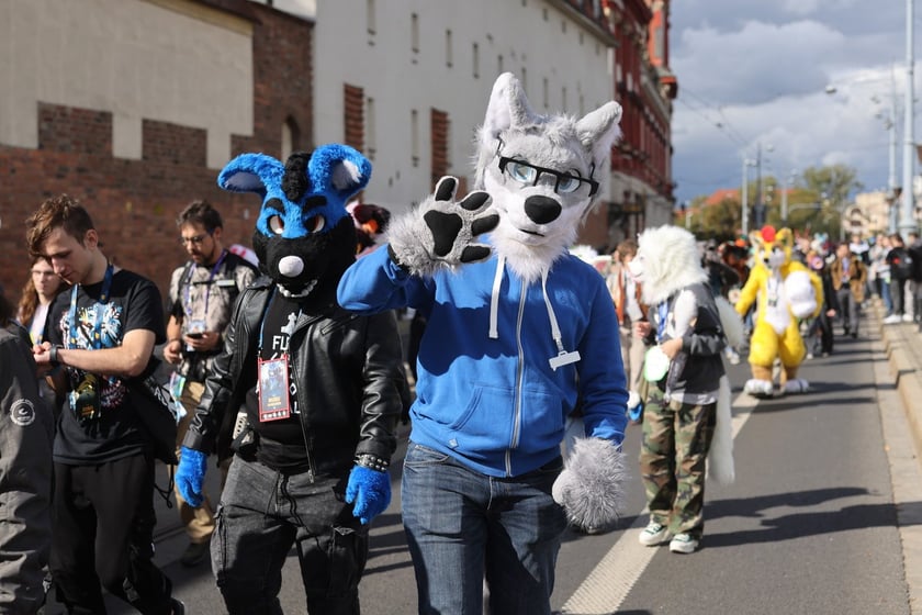 Wrocławski Furwalk 2024