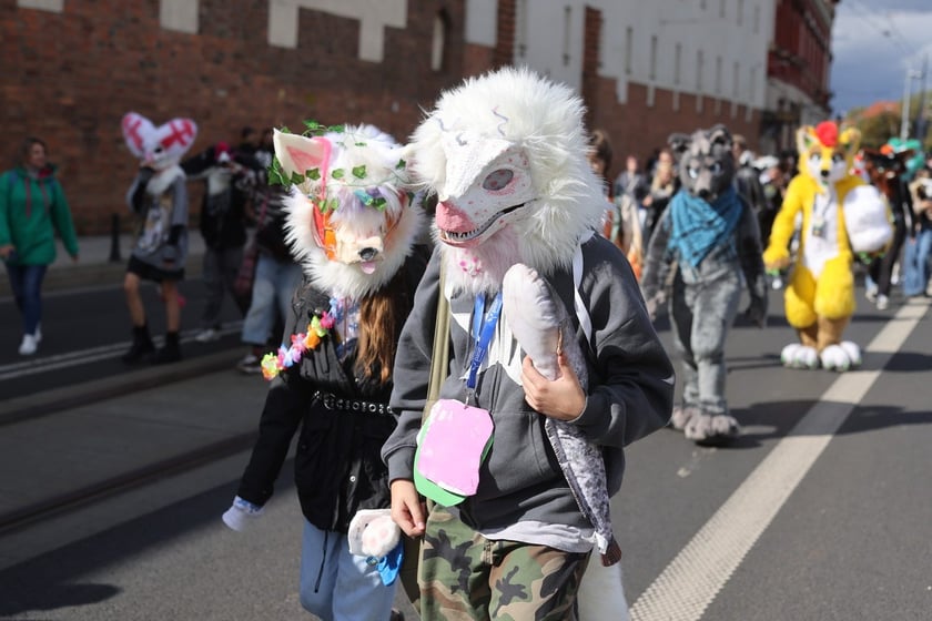 Wrocławski Furwalk 2024
