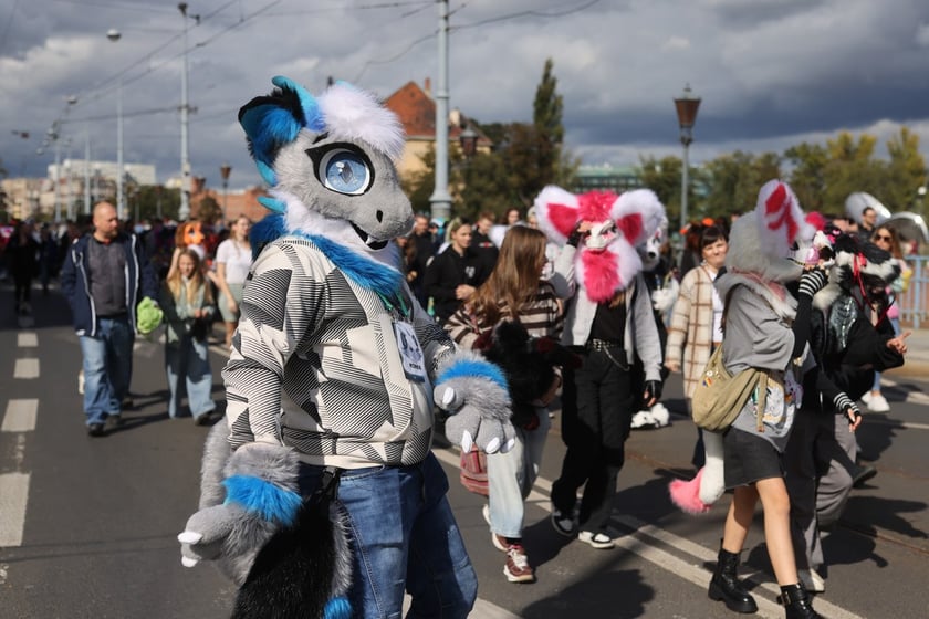Wrocławski Furwalk 2024