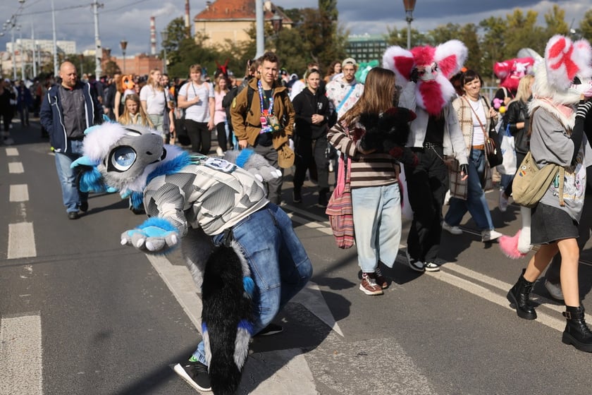 Wrocławski Furwalk 2024