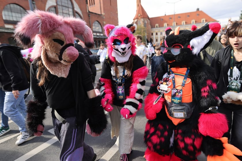 Wrocławski Furwalk 2024