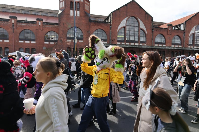 Wrocławski Furwalk 2024
