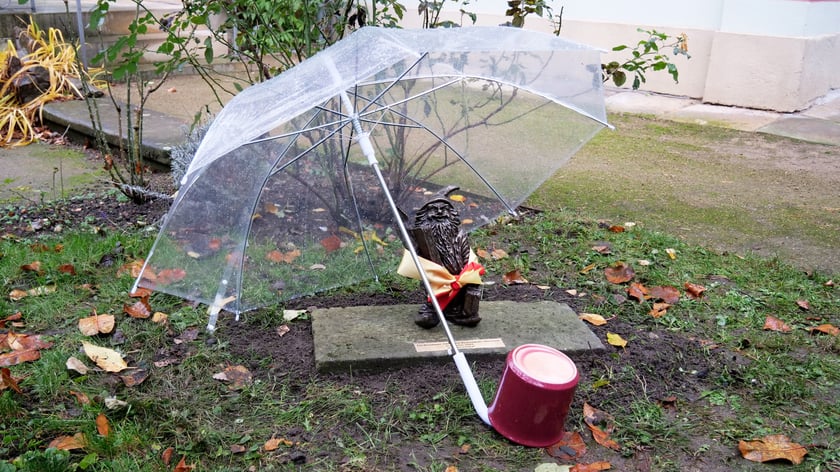 W Dreźnie uruchomiono czasową wystawę na 65-lecie partnerstwa z Wrocławiem. Miastu został także podarowany krasnal Literat.