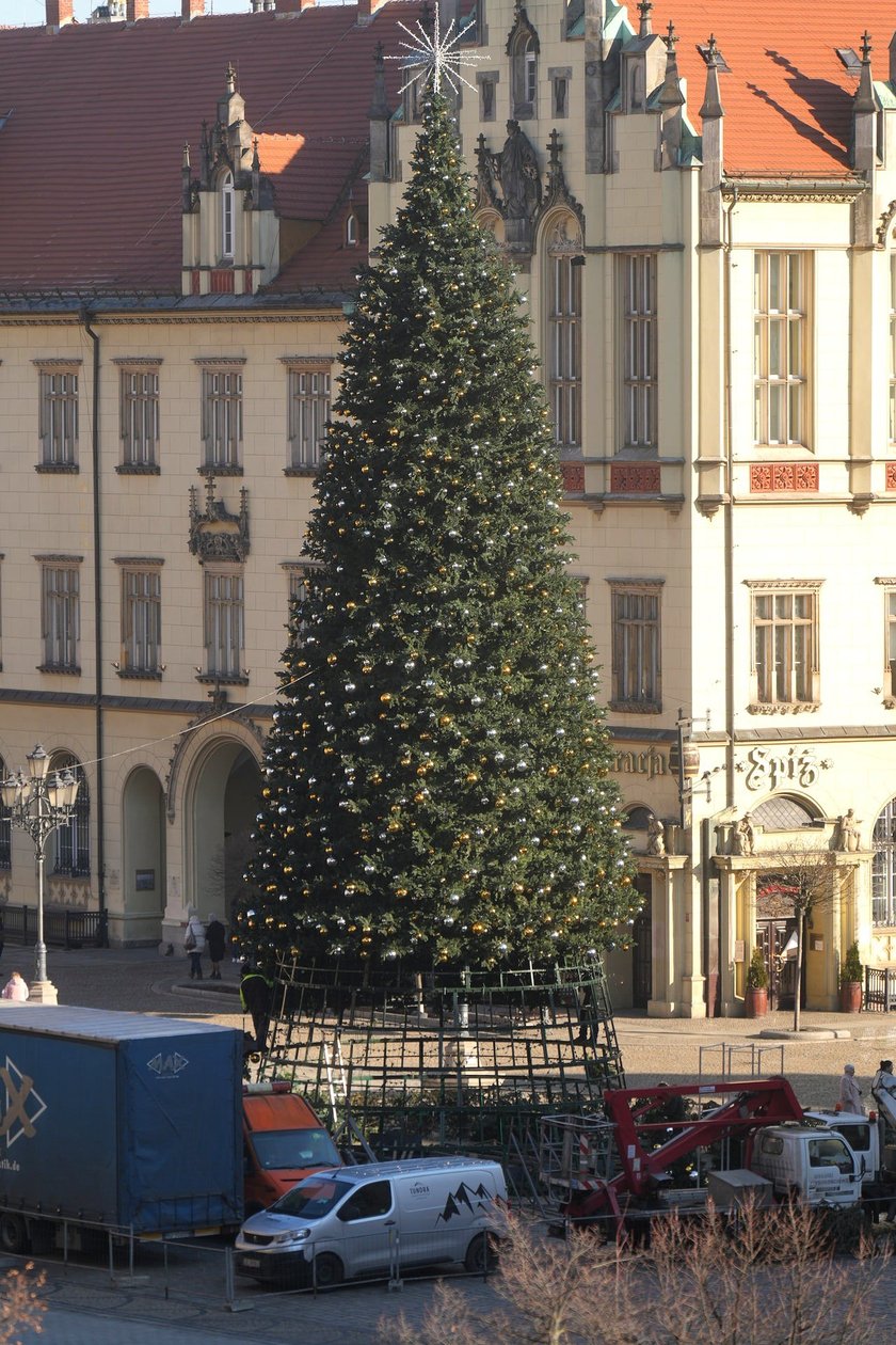 Coraz mniej choinki na Rynku. Trwa jej rozbieranie