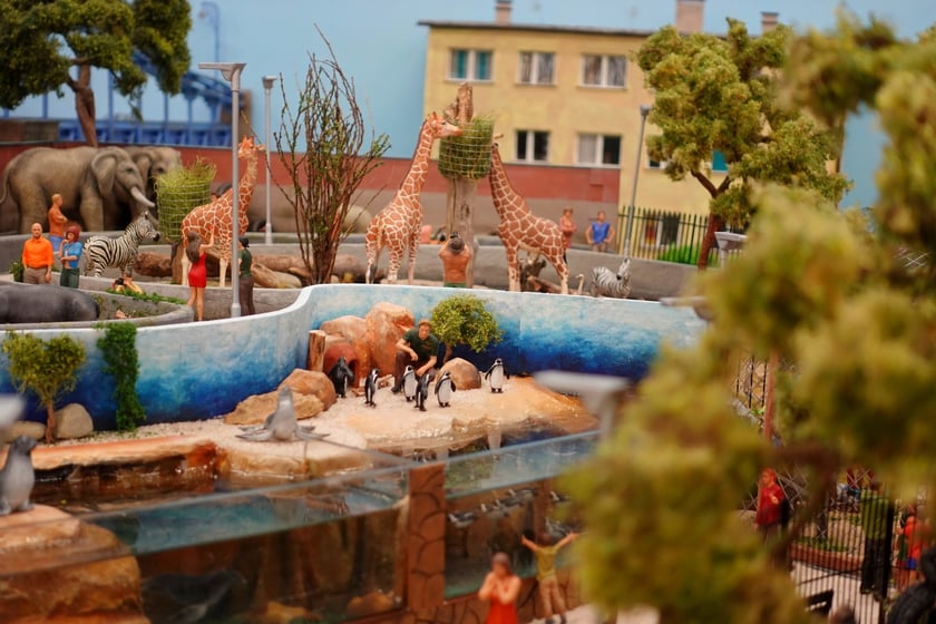 Miniaturowe ZOO w Kolejkowie, makieta