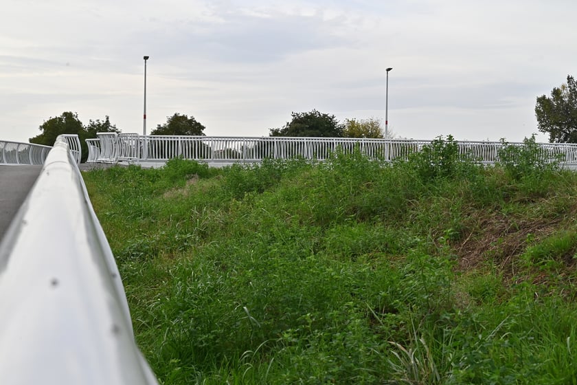 Kładka nad Ślęzą łącząca Muchobór Mały z Muchoborem Wielkim.
