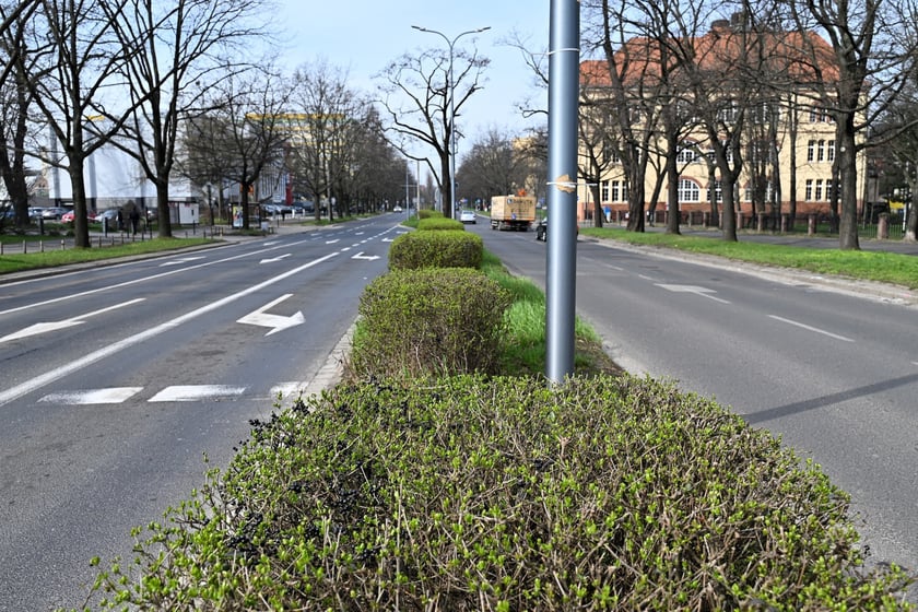 Tegoroczny program szybkiej wymiany nawierzchni rozpocznie się od ulicy Ślężnej i Kamiennej.