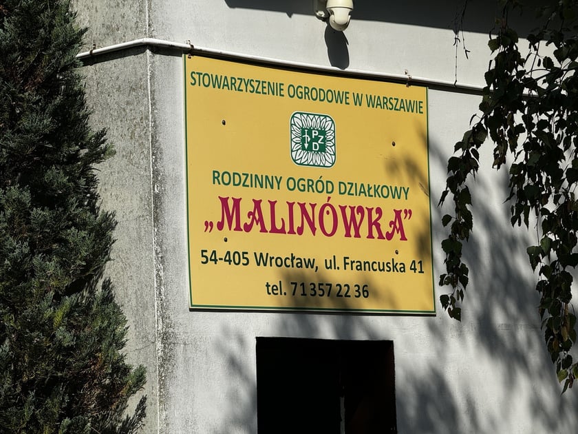 Początek budowy drogi do mostu na Muchoborze Małym, 5 września 2024