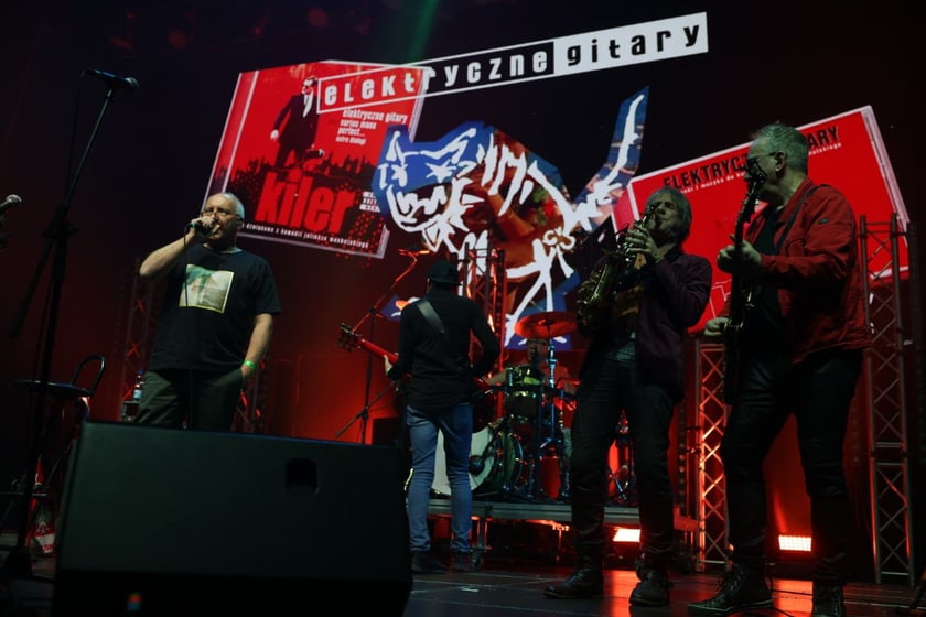 Zagrały gwiazdy IRA, Elektryczne Gitary i T.Love. wROCK for Freedom w Hali Stulecia