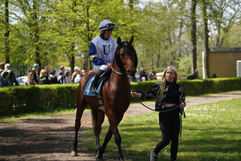 Majówka na Partynicach 2023