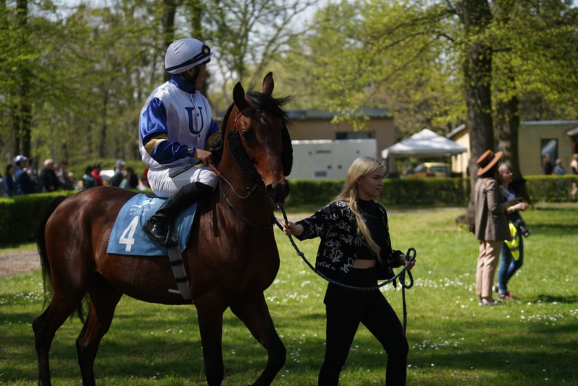 Majówka na Partynicach 2023